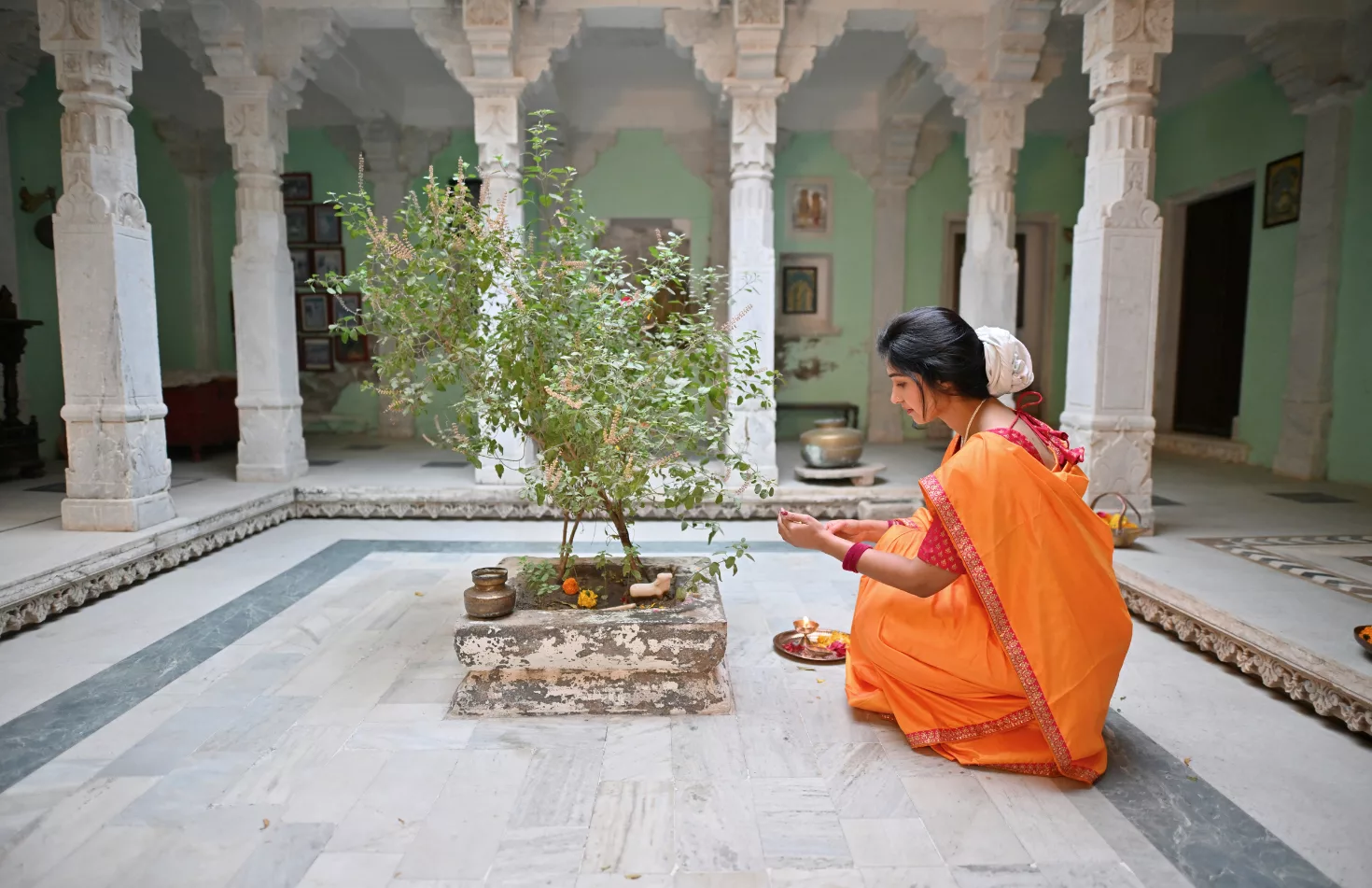 Tulsi: un potente Adaptógeno Sagrado para Cuerpo, Mente y Espíritu